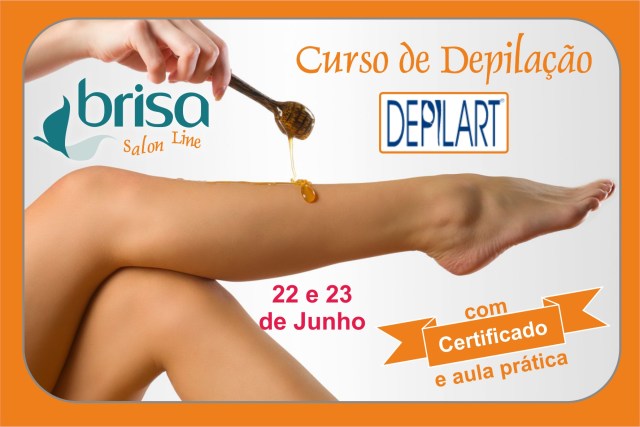 BSL_CursoDepilart22e23Junho15